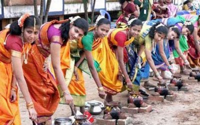 Pongal Festival in Tamilnadu