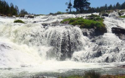 Pykara Falls