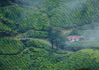 Special Honeymoon Kerala Trips