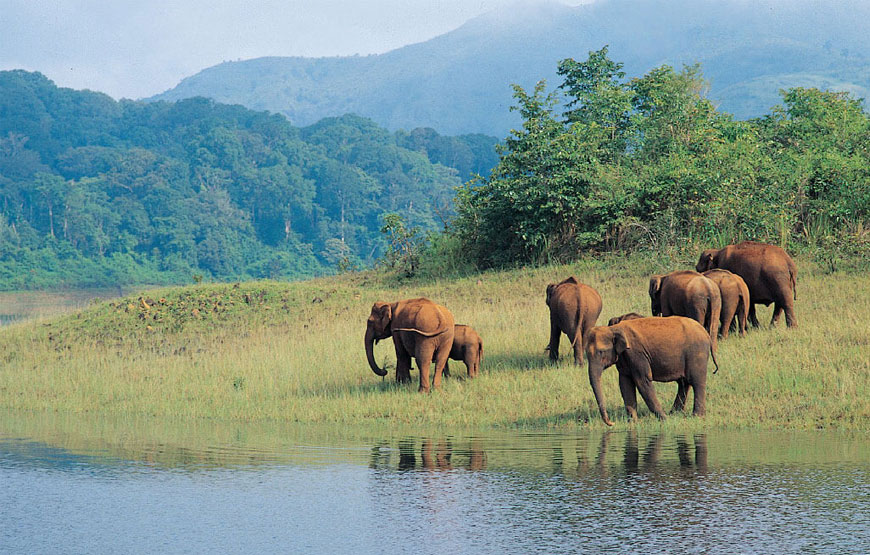 Special Honeymoon Trip to South Kerala